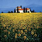 Steve Thoms Sunflower Field painting